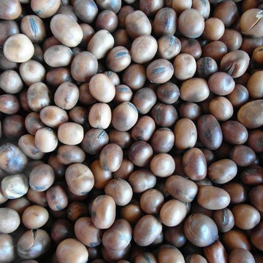 [STS010] Beans (25kg)