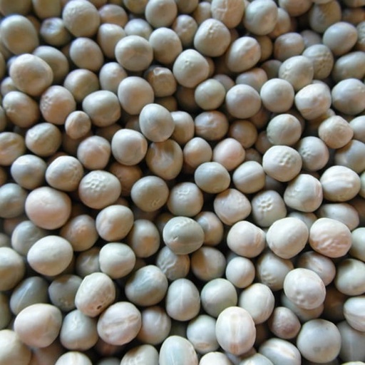 [STS025] Blue Peas (25kg)