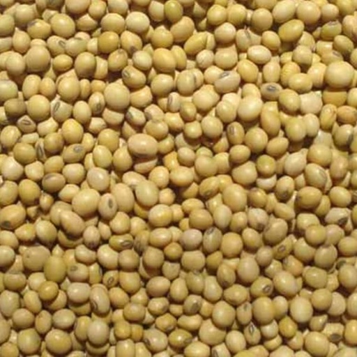 [STS127] Toasted Soya Beans (25kg)