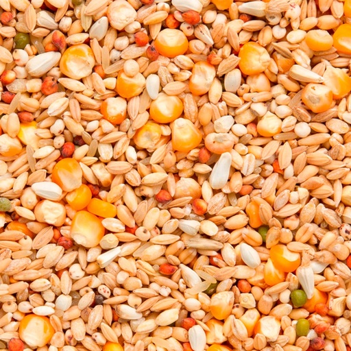 [BEY110] 7/48 Enzymix Recup (20kg)