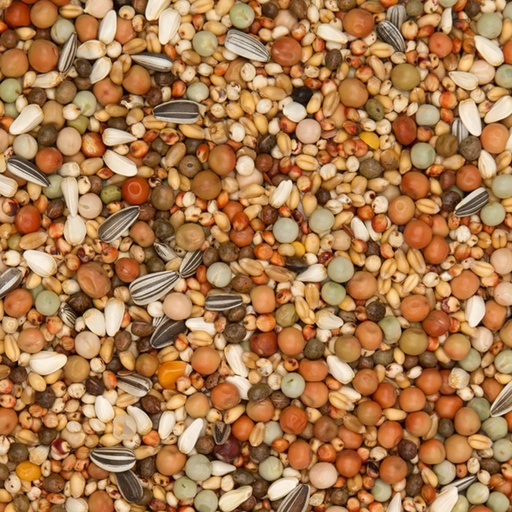 [BEY140] Olympia 48 - Young Bird No Maize (25kg)
