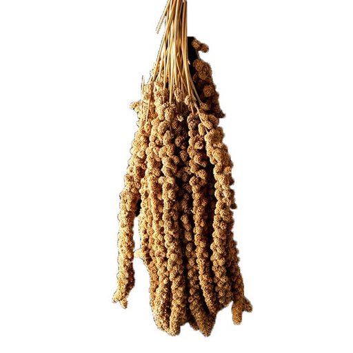 [CAG080] Chinese Yellow Millet Sprays (15kg)
