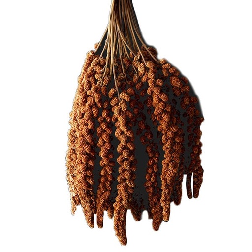 [CAG090] Chinese Red Millet Sprays (15kg)