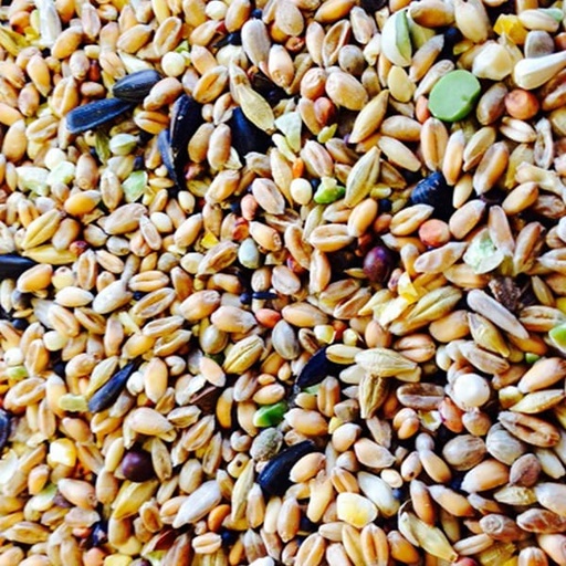 [WB005] BJF Wild Bird Seed (25kg)