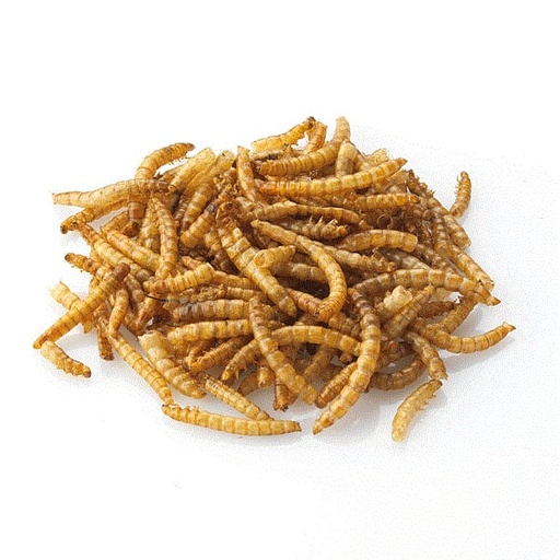[WB040] Mealworms (Dried) (5KG)