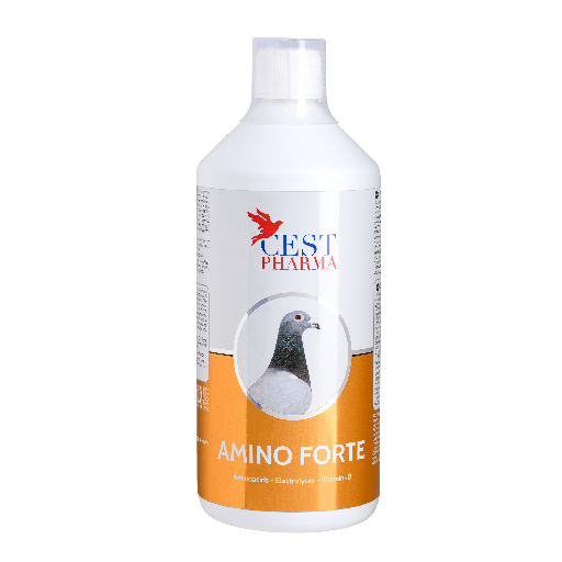 [CES005] Amino Forte (1L)