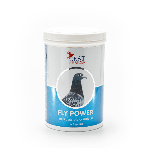 [CES050] Fly Power (600g)