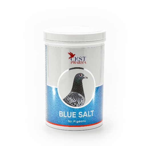 [CES020] Blue Salt (1000g)