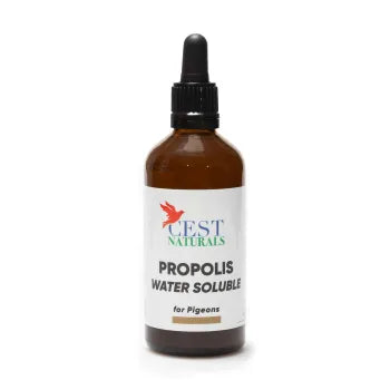 [CES097] Propolis (100ml)