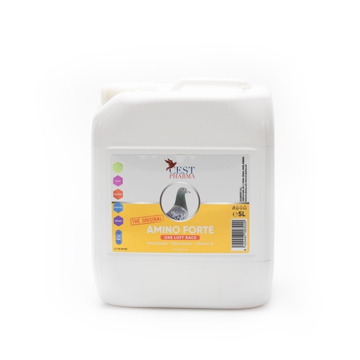 [CES007] Amino Forte (5L)