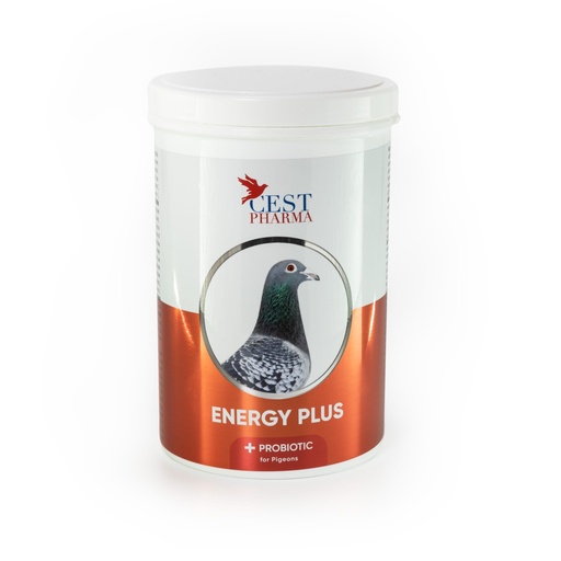 [CES035] Energy Plus (600g)