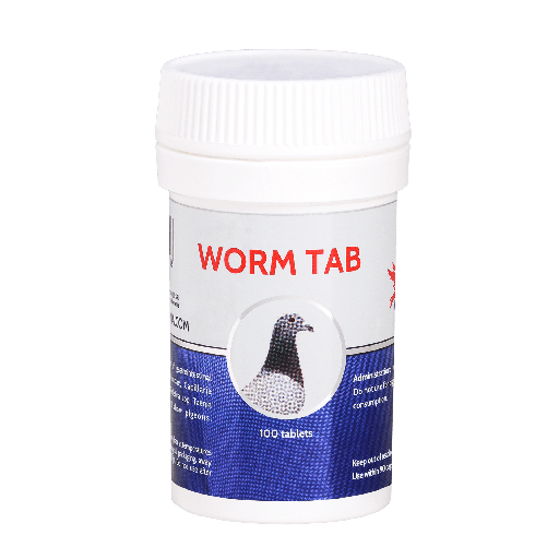 [CES220] Worm (100 Tabs)