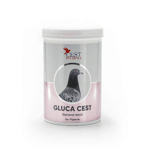 [CES065] Gluca Cest (600g)