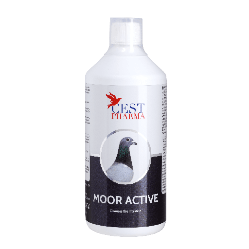 [CES085] Moor Active (1L)