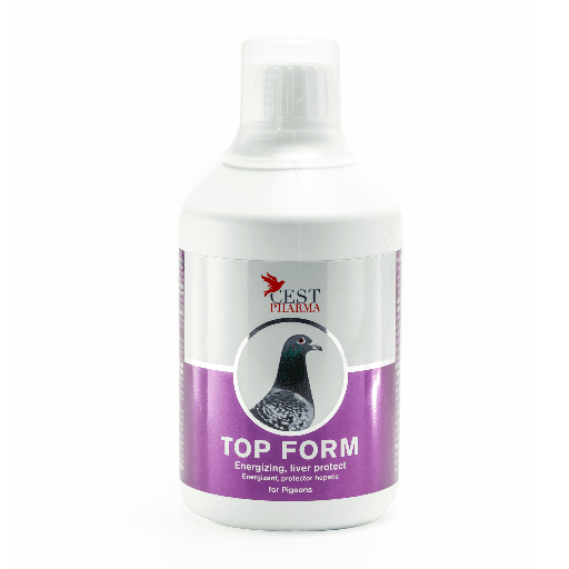[CES140] Top Form (500ml)