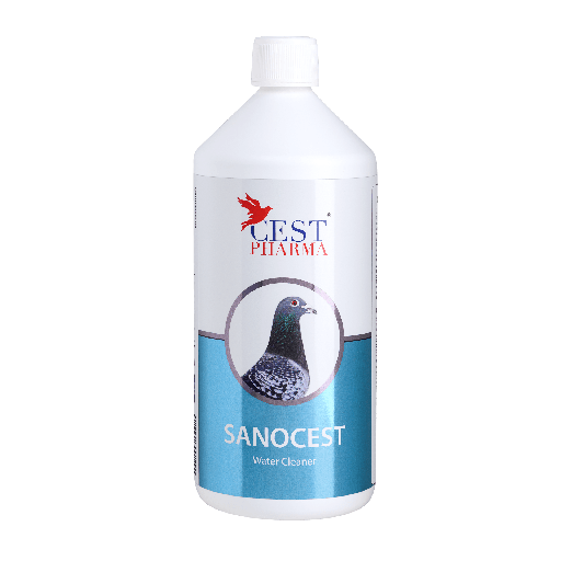 [CES120] Sanocest (1L)