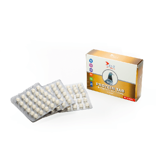 [CES110] Protein (90 Tabs)