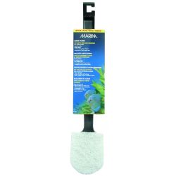 Marina Algae Scrub