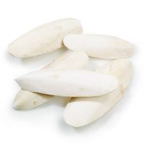 Cuttlefish Bones