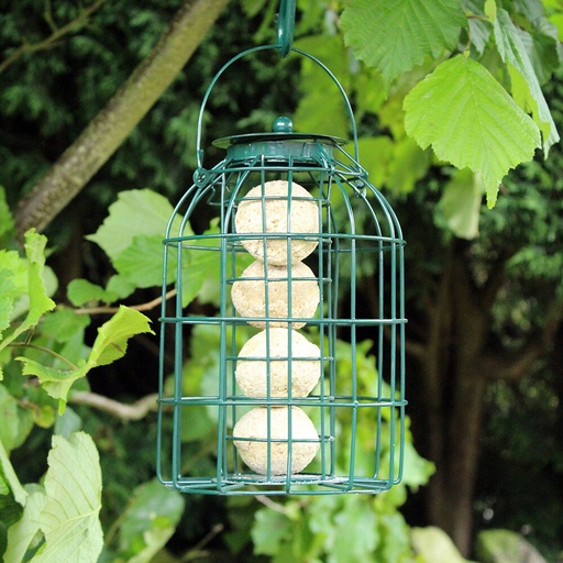 [BF008FB] Nature' Market Suet Fat Ball Feeder - Wild Birds - With Squirrel Guard