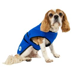 Ancol Ice Paws Cooling Coat Small