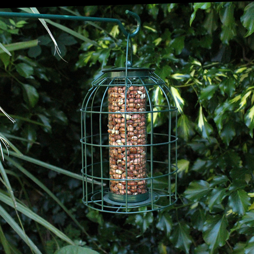[BF007] Nature' Market Nut Feeder - Wild Birds - With Squirrel Guard Red