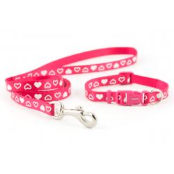 Ancol Small Bite Nylon Collar Set Raspberry
