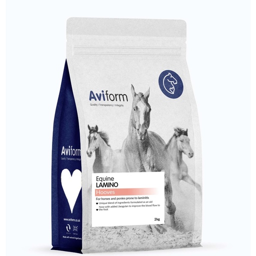 Aviform Lamino For Horses + Jiaogulan To Improve The Blood Flow To The Foot
