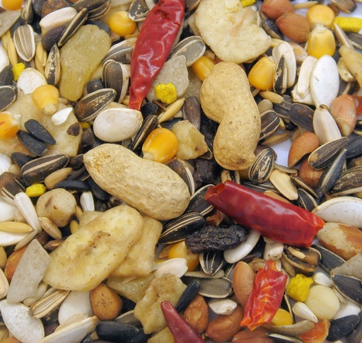 Colonels Feast Parrot - Blend Of 17 Seeds & Nuts