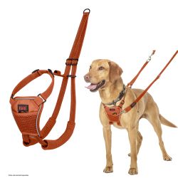 Halti No Pull Harness Orange