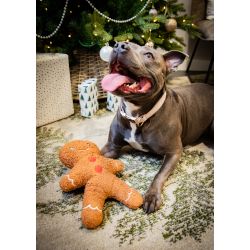 Rosewood Christmas Tufflove Gingerbread Man