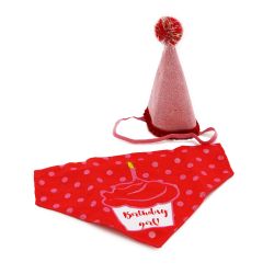 Ancol Pawty Its My Birthday Hat & Bandana