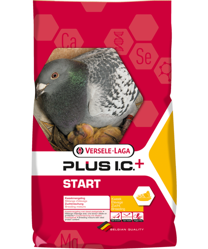 [VER02A] Versele Laga Start Plus I.C. + (Breeding) Racing Pigeon Feed