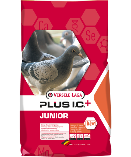 [VER04B] Versele Laga Junior Plus I.C. + Racing Pigeon Feed