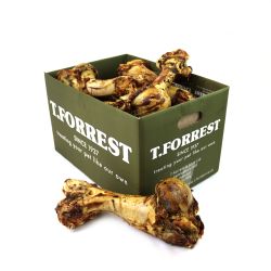 T. Forrest Whole Bone Jurassic