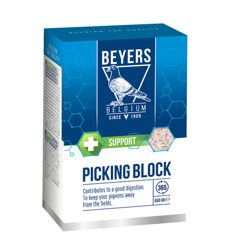 [beyer+013] Beyer' Plus Condition & Care Pikkoek Or Picksteen Block No.24