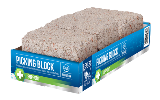 [beyer+013] Beyer' Plus Condition & Care Pikkoek Or Picksteen Blocks No.24
