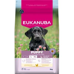 Eukanuba Puppy Large Breed Chicken