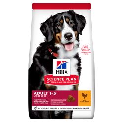 HILL'S SCIENCE PLAN Adult Large Breed Dry Dog Food Chicken Flavour