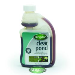 Blagdon Clear Pond