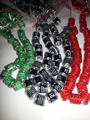 Pigeon Rings (Custom Made) Aluminium