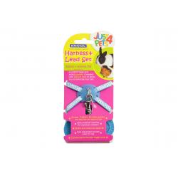 Ancol Rabbit Harness Set Blue