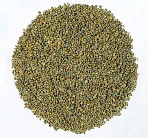 Whole Bajra Seeds (Washed & Cleaned ) Human Standard