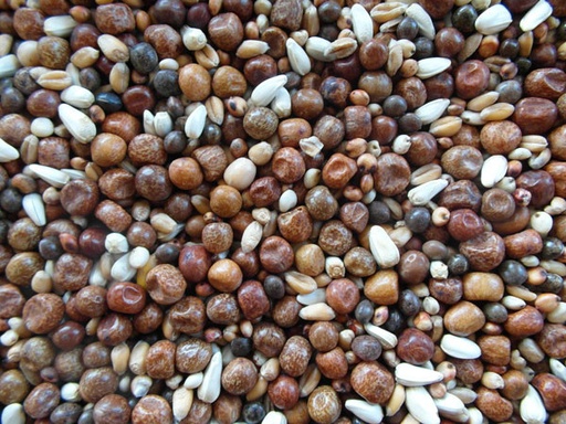 [BJF010] Bjf Breed & Wean Pigeon Seed Mix